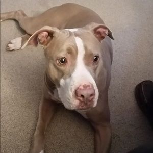 Meet your Posher, Venita